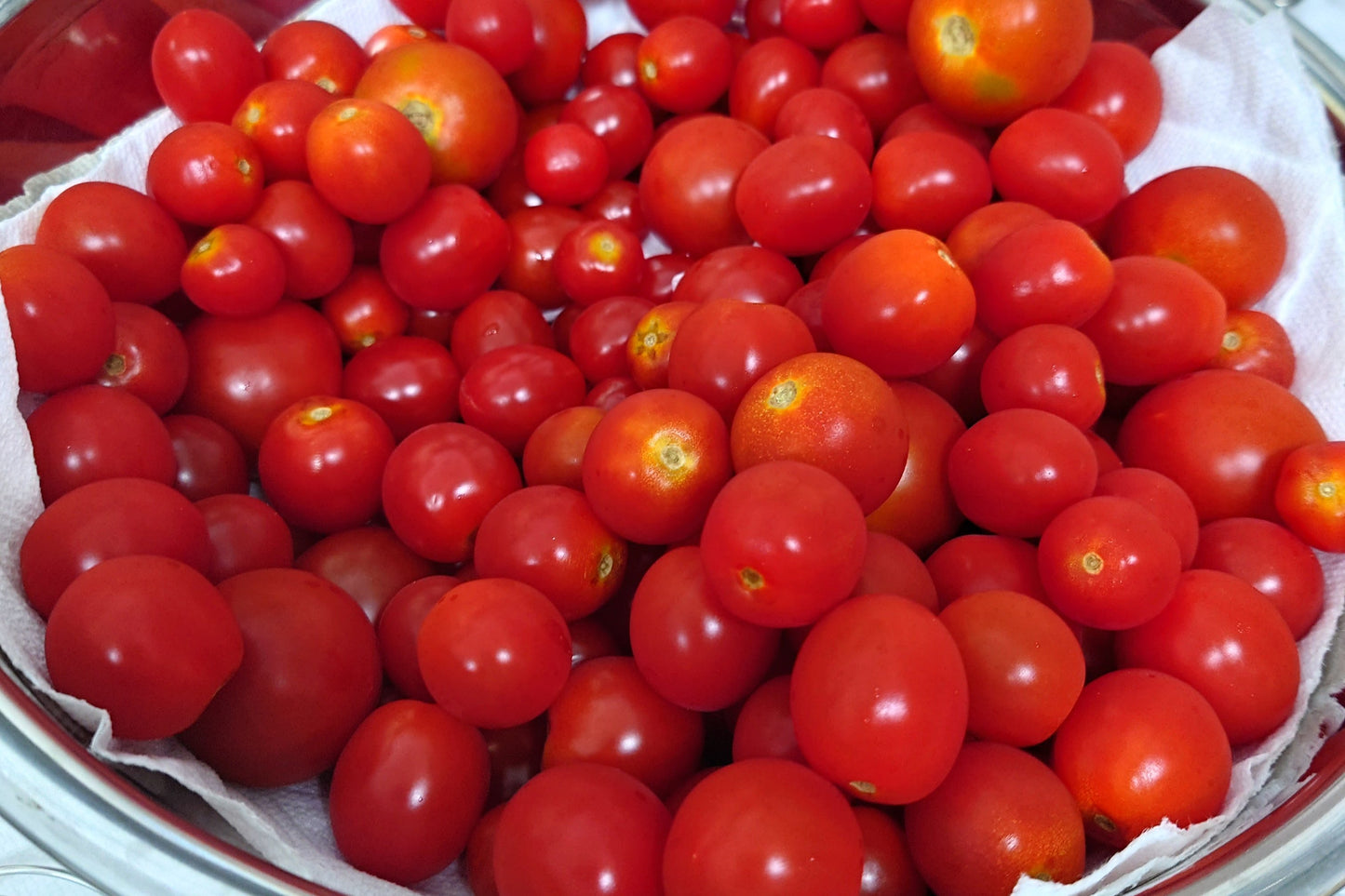 【数量限定】焼きトマト【カップジェラート】