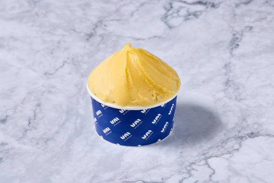 マンゴー&パイン【カップジェラート】