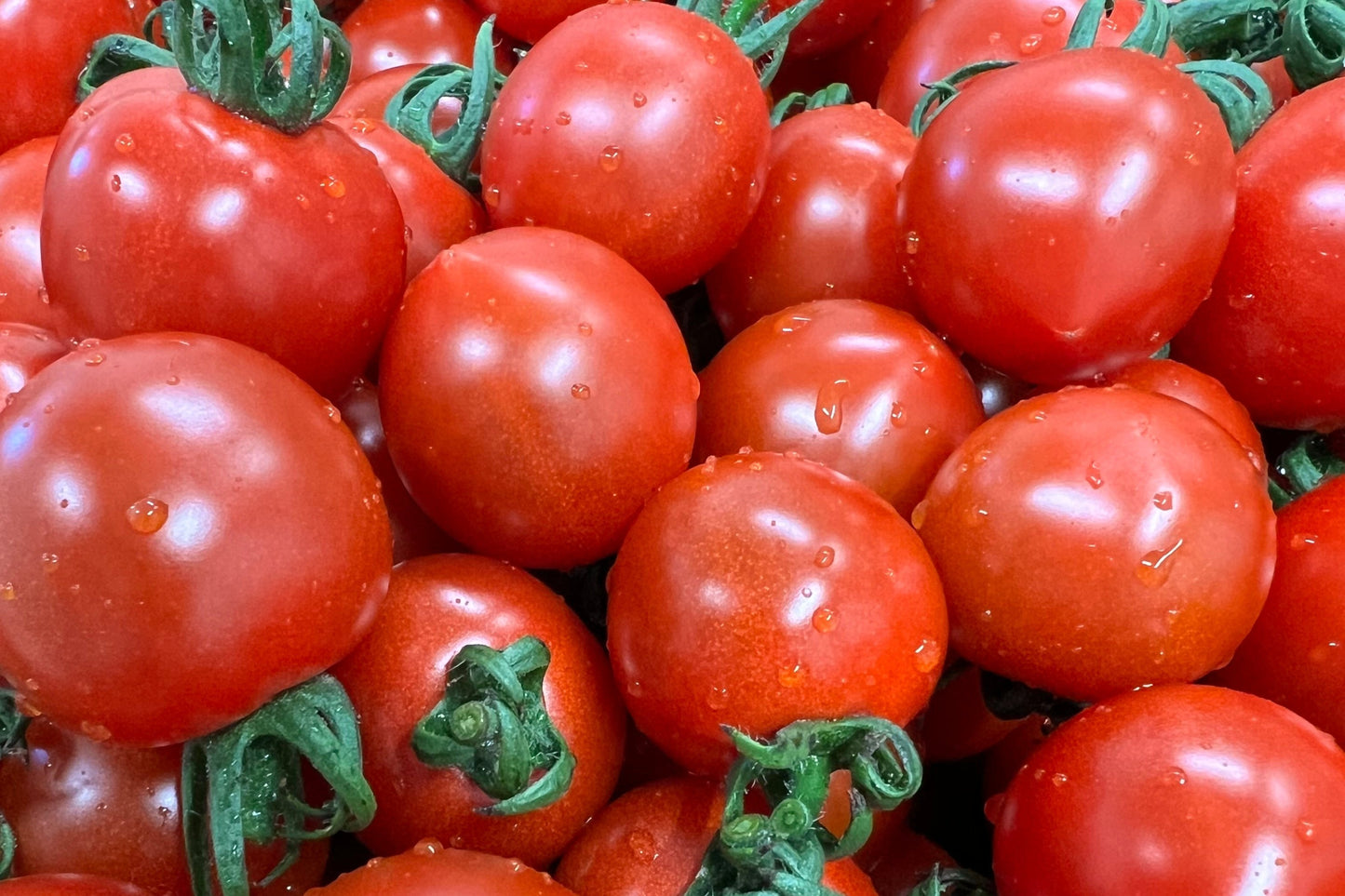 【数量限定】焼きトマト【カップジェラート】