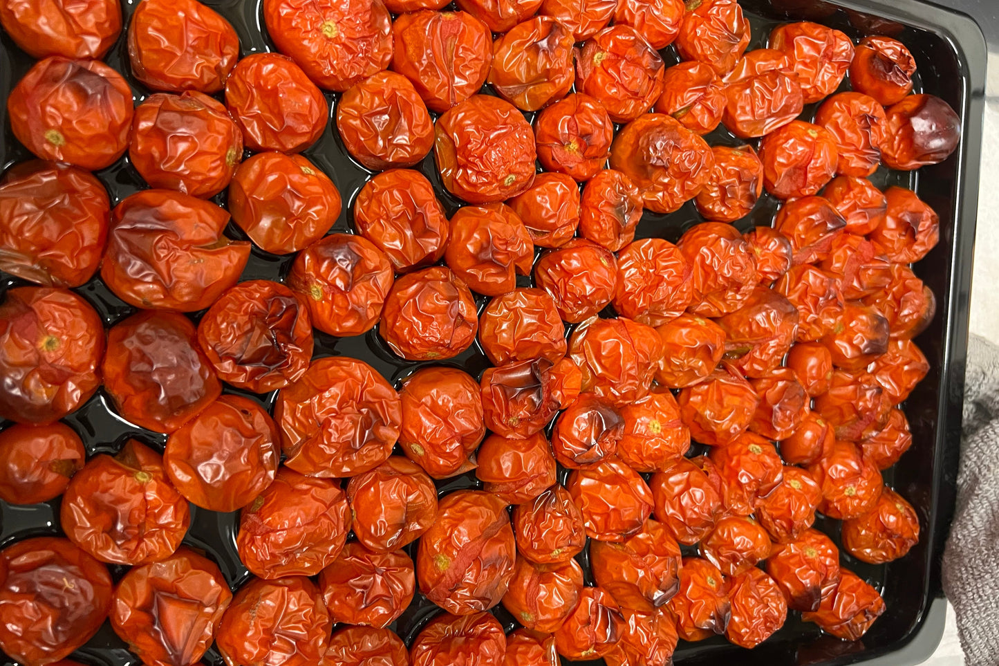 【数量限定】焼きトマト【カップジェラート】